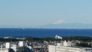 IMG_20181021_073636.jpg